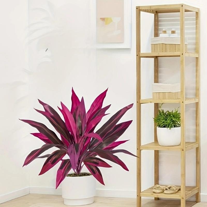 60cm Tall Artificial Dracaena  - Dracaena Marginata のレビューと価格