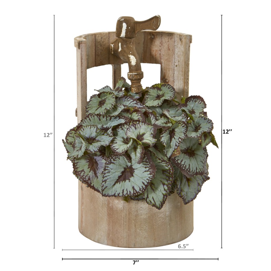 12in. Rex Begonia Artificial P - Begonia Rex のレビューと価格