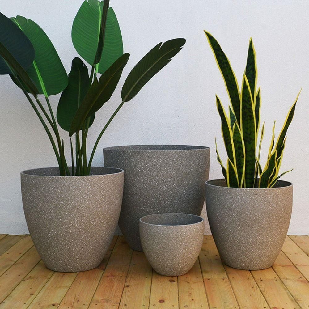 Frosted Imitation Stone Bonsai - Aloe Vera Pot のレビューと価格