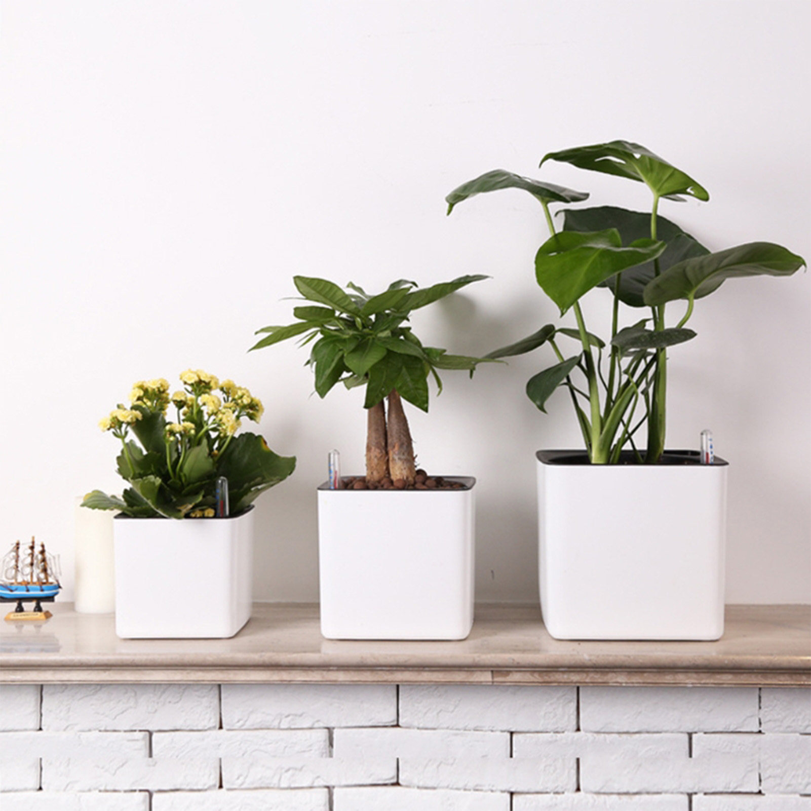 Automatic Self Watering Flower - Aloe Vera Pot のレビューと価格