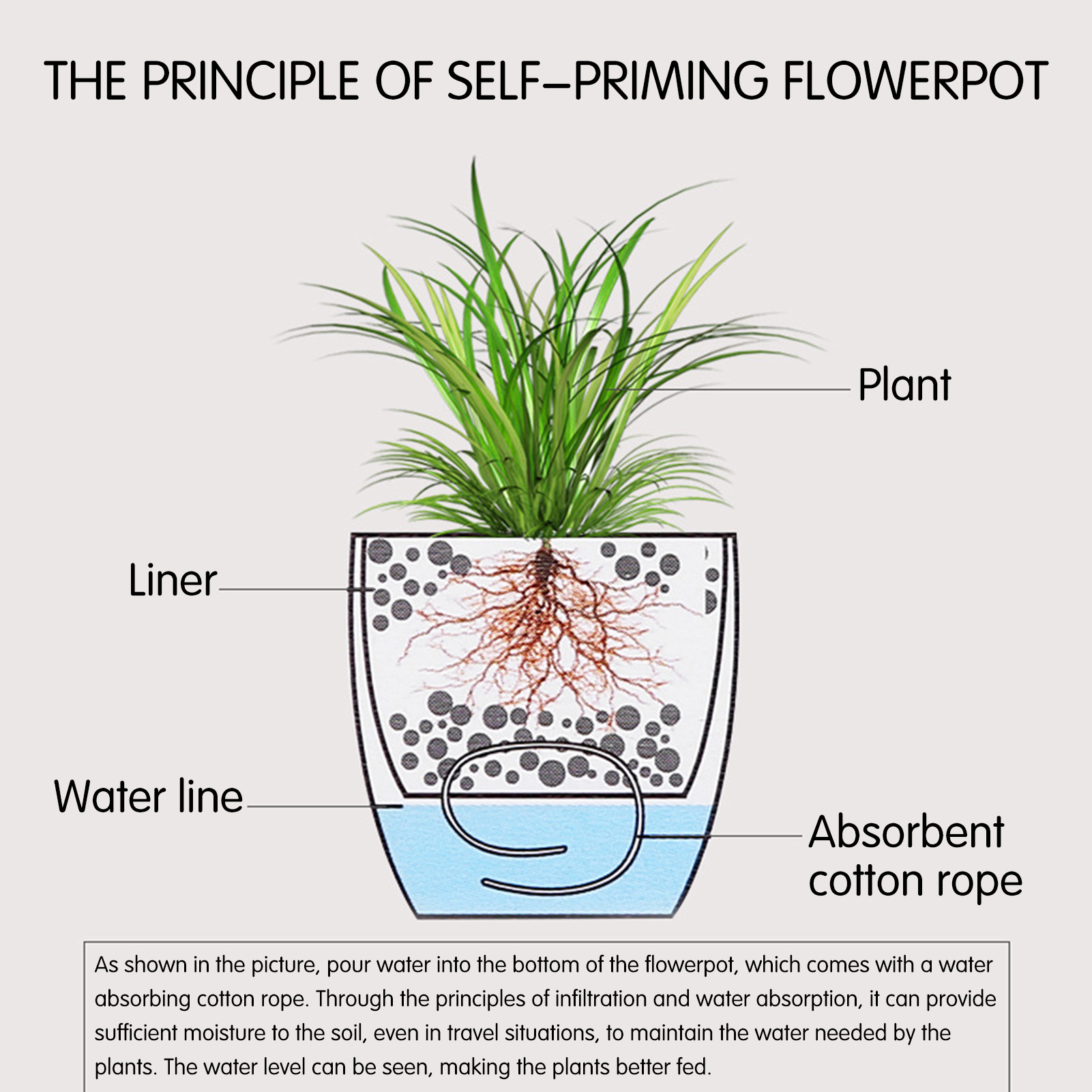 Automatic Self Watering Flower - Aloe Vera Pot のレビューと価格