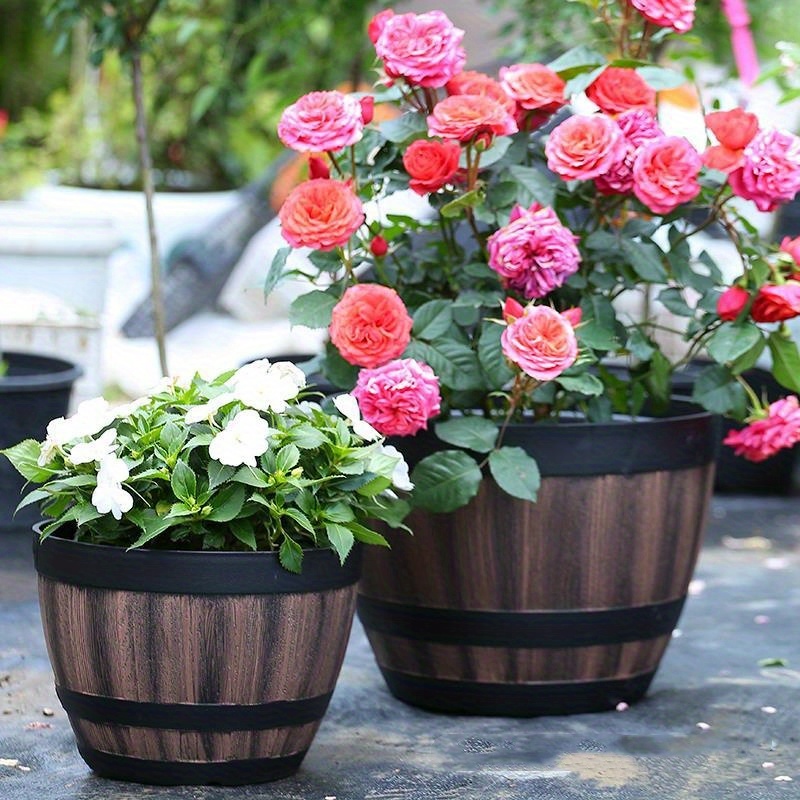 Durable Plastic Round Elegant  - Aloe Vera Pot のレビューと価格
