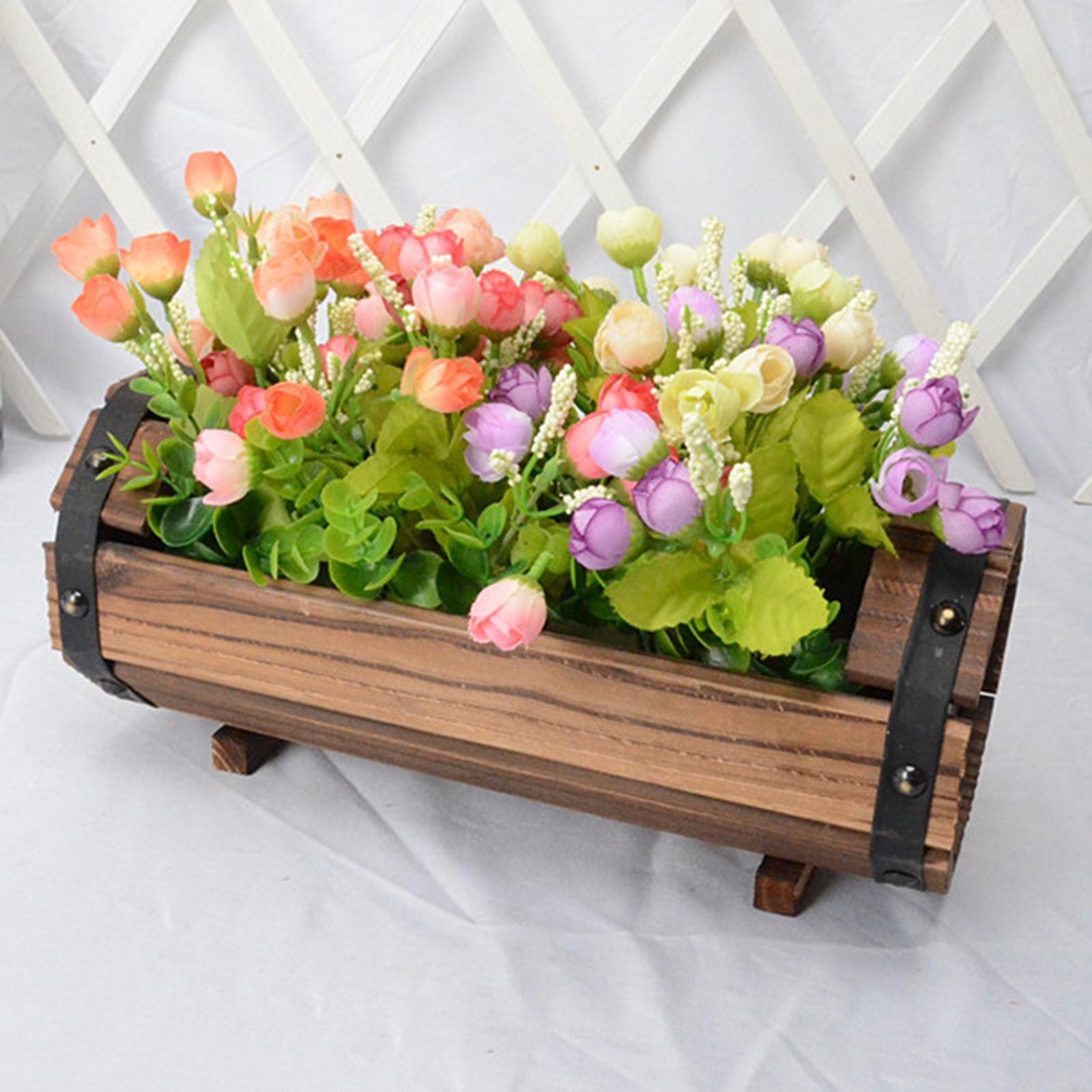 Antique Decorative Flower Pot  - Echeveria Succulent のレビューと価格