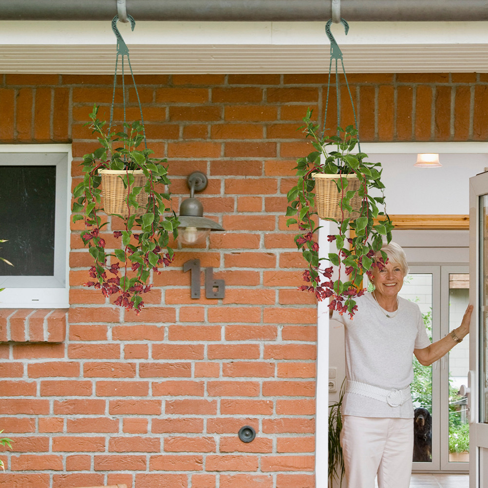 5Pcs Hanging Basket Chain Set  - Spider Plant Hanging のレビューと価格