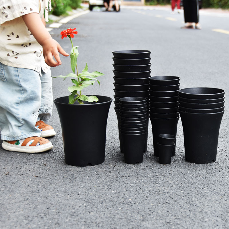 10pcs Thickened Flowerpot High - Aloe Vera Pot のレビューと価格