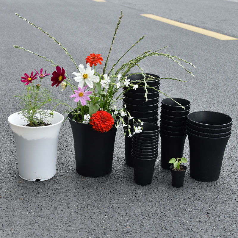 10pcs Thickened Flowerpot High - Aloe Vera Pot のレビューと価格