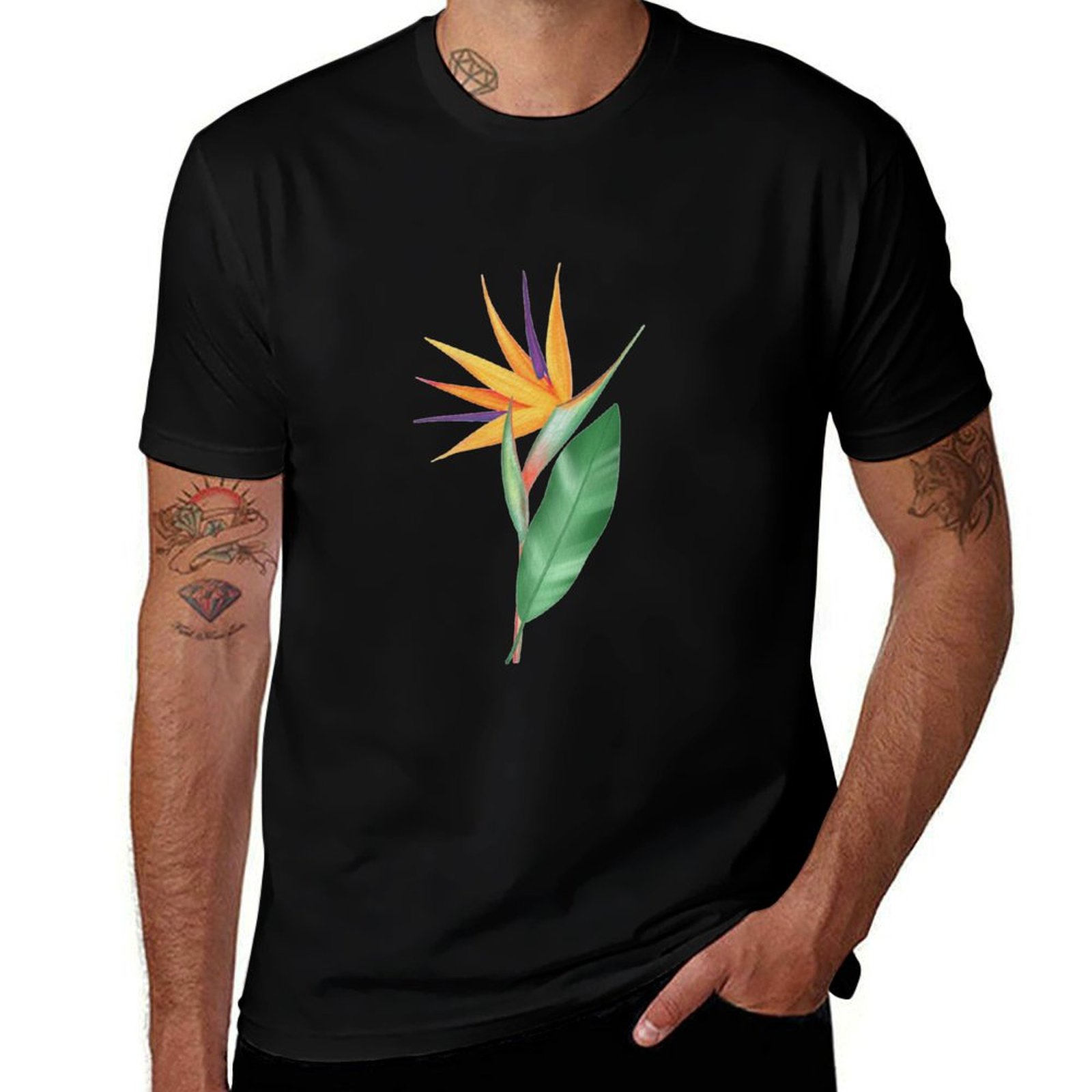 Watercolor bird of paradise fl - Bird Paradise Strelitzia のレビューと価格