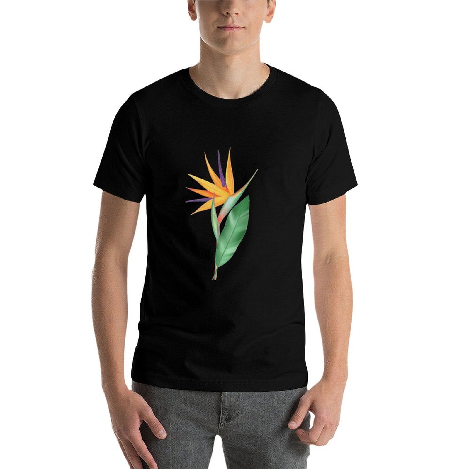 Watercolor bird of paradise fl - Bird Paradise Strelitzia のレビューと価格