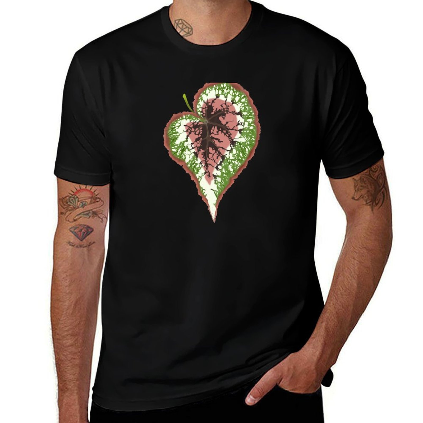 Begonia Rex T-Shirt Basic Simp - Begonia Rex のレビューと価格