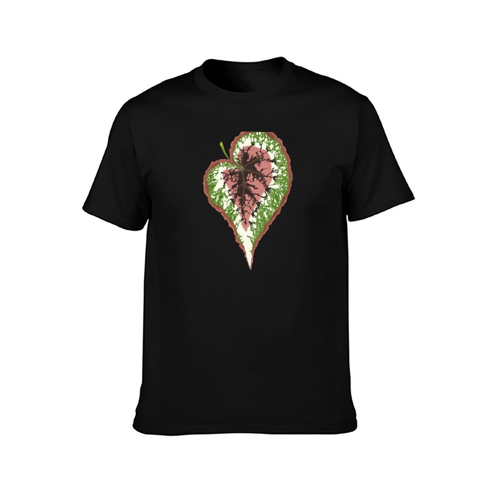 Begonia Rex T-Shirt Basic Simp - Begonia Rex のレビューと価格