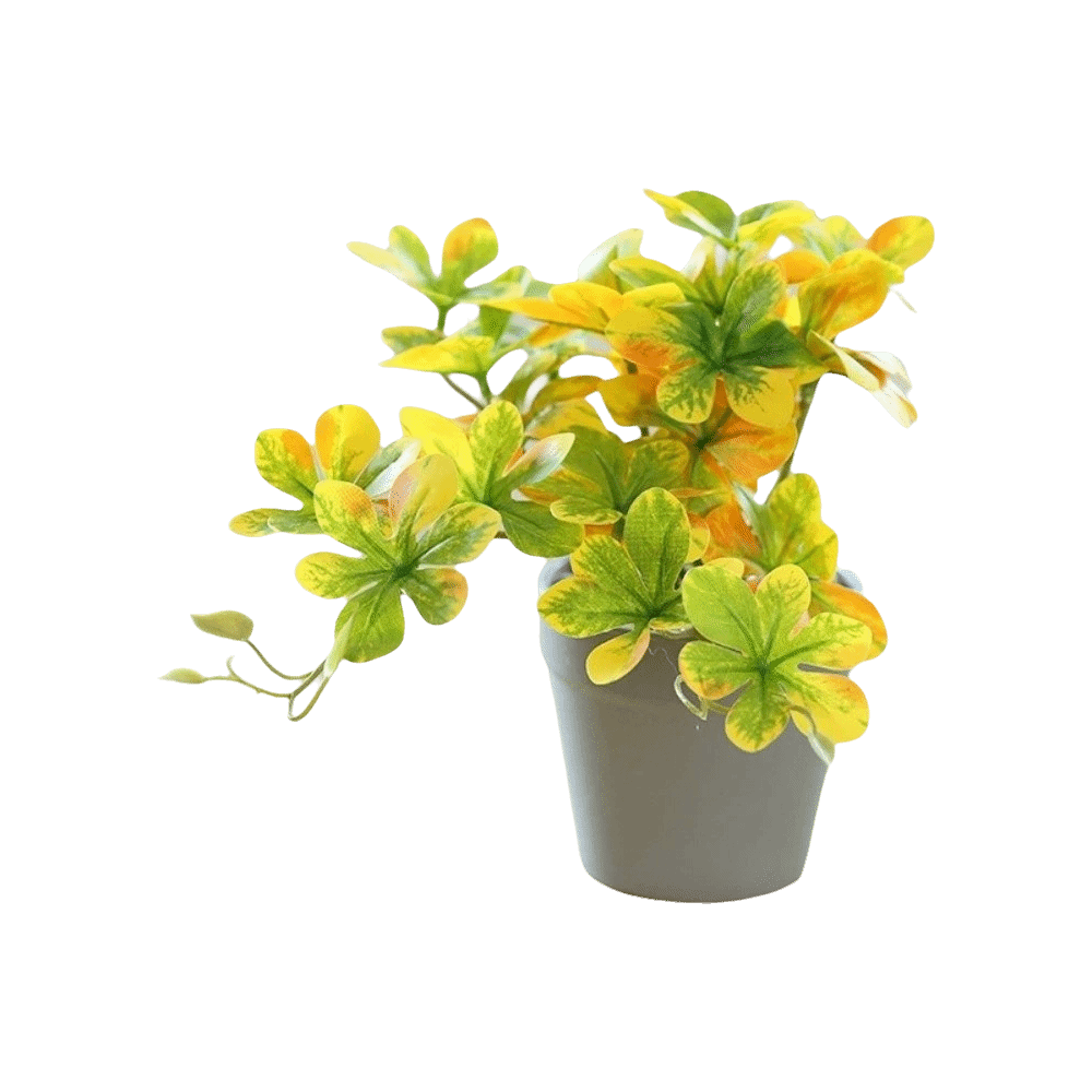 Bonsai Artificial Bonsai Plant - Spider Plant Hanging のレビューと価格