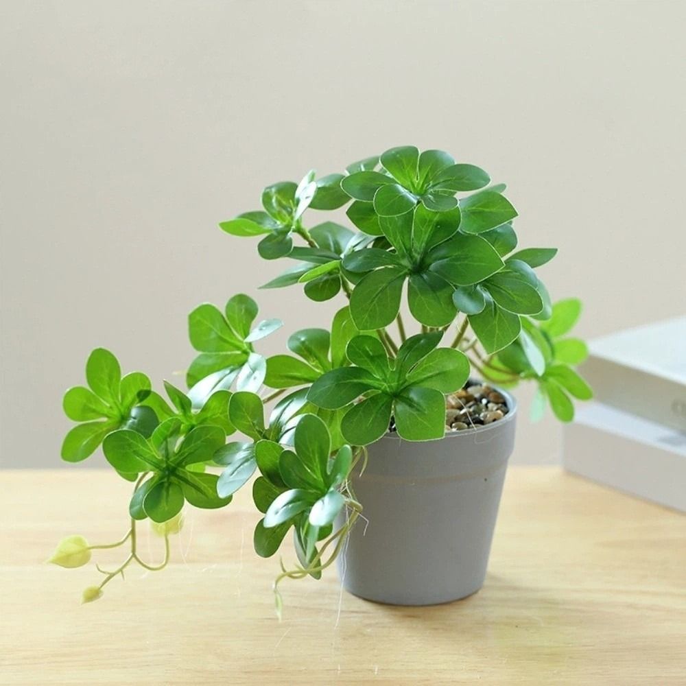 Bonsai Artificial Bonsai Plant - Spider Plant Hanging のレビューと価格