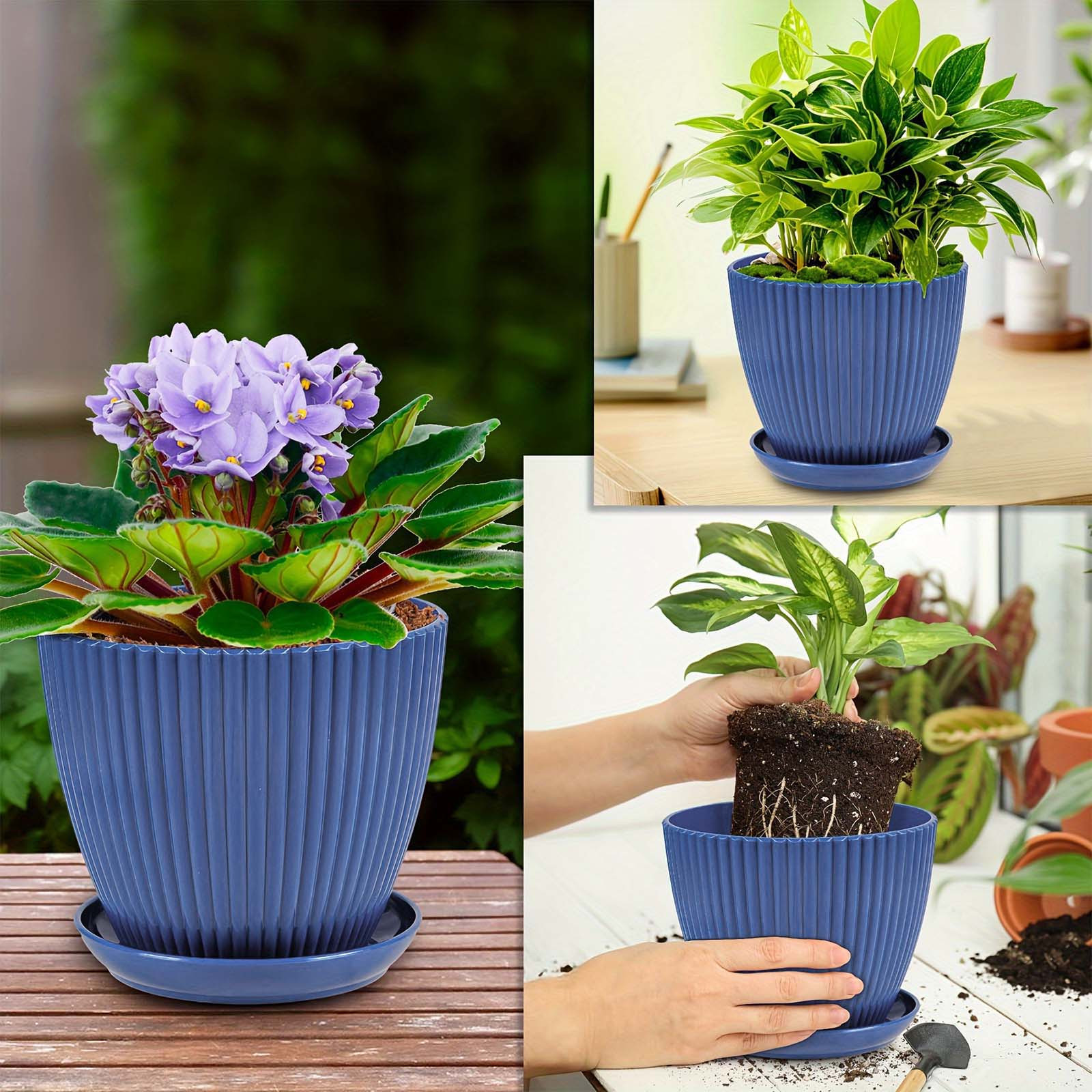 Vertical Striped Thickened Pla - Aloe Vera Pot のレビューと価格