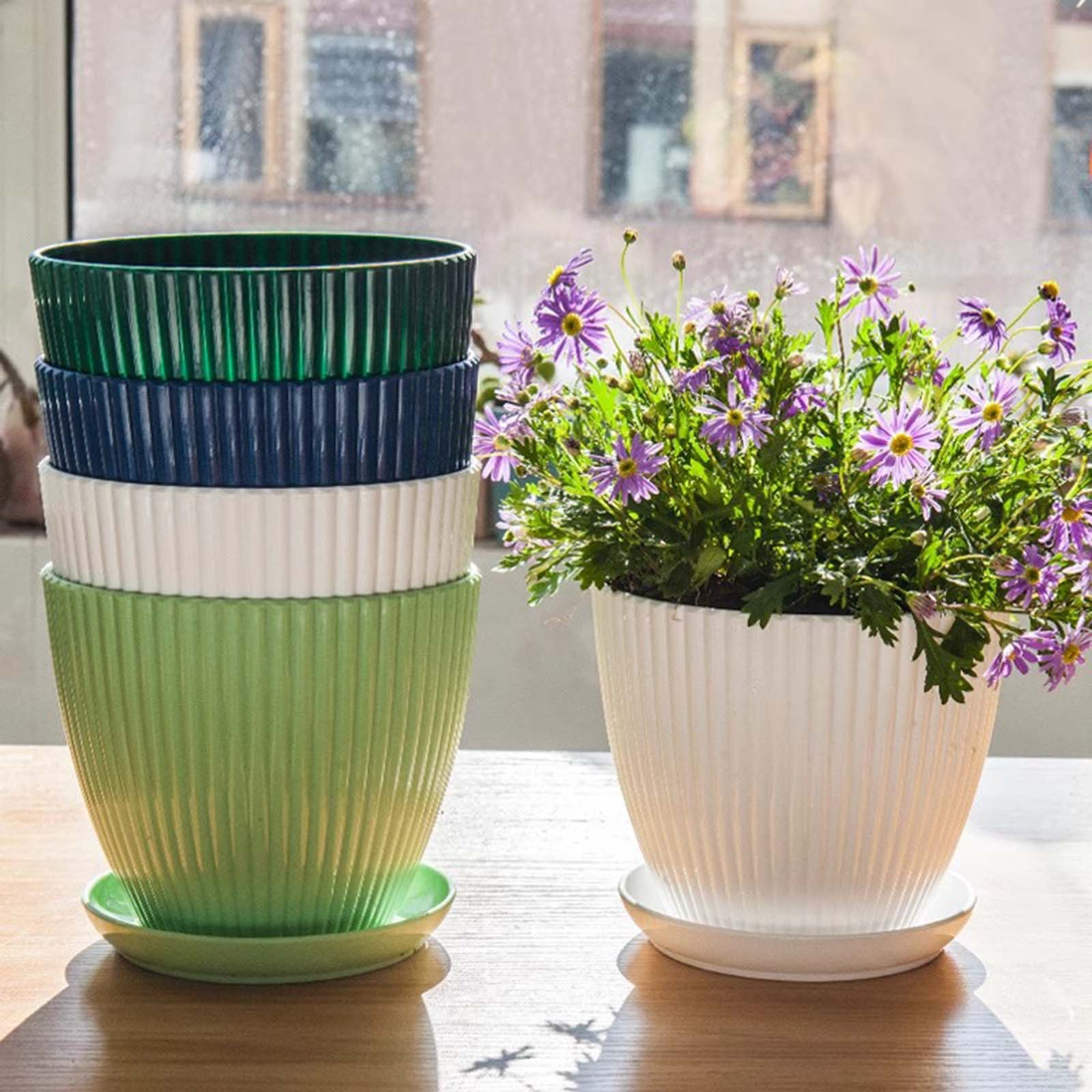 Vertical Striped Thickened Pla - Aloe Vera Pot のレビューと価格