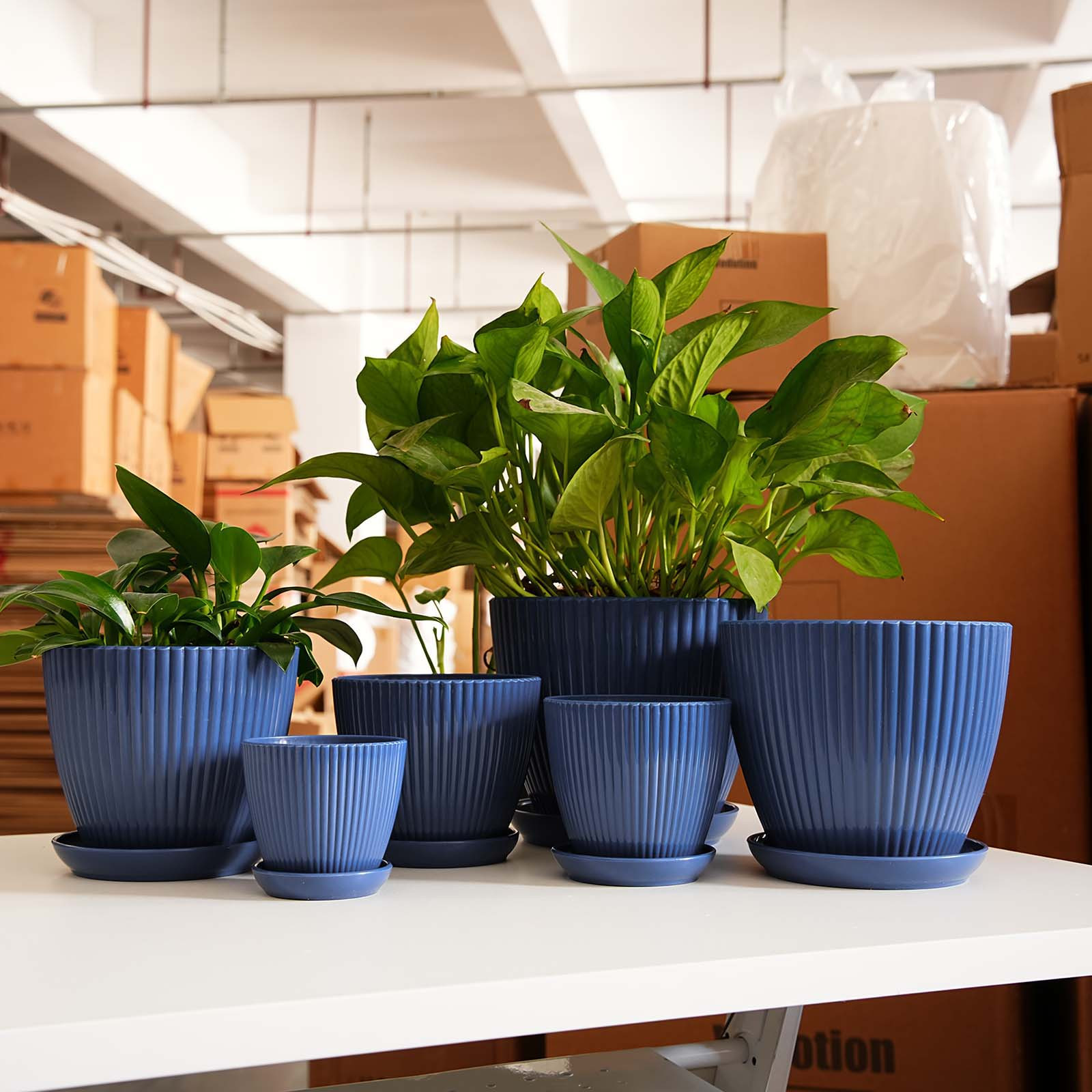 Vertical Striped Thickened Pla - Aloe Vera Pot のレビューと価格