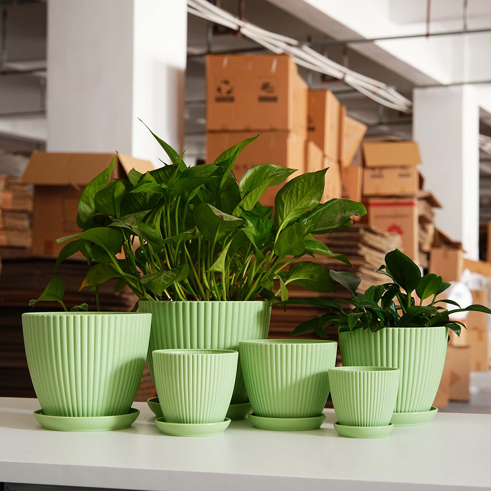 Vertical Striped Thickened Pla - Aloe Vera Pot のレビューと価格