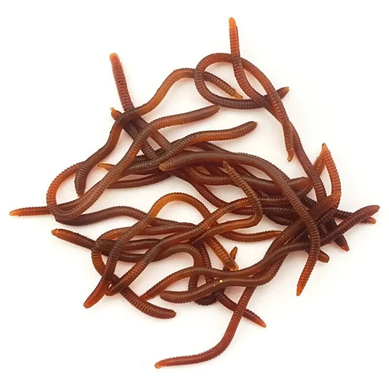Lifelike Fishy Smell Red Soft  - Aglaonema Red のレビューと価格