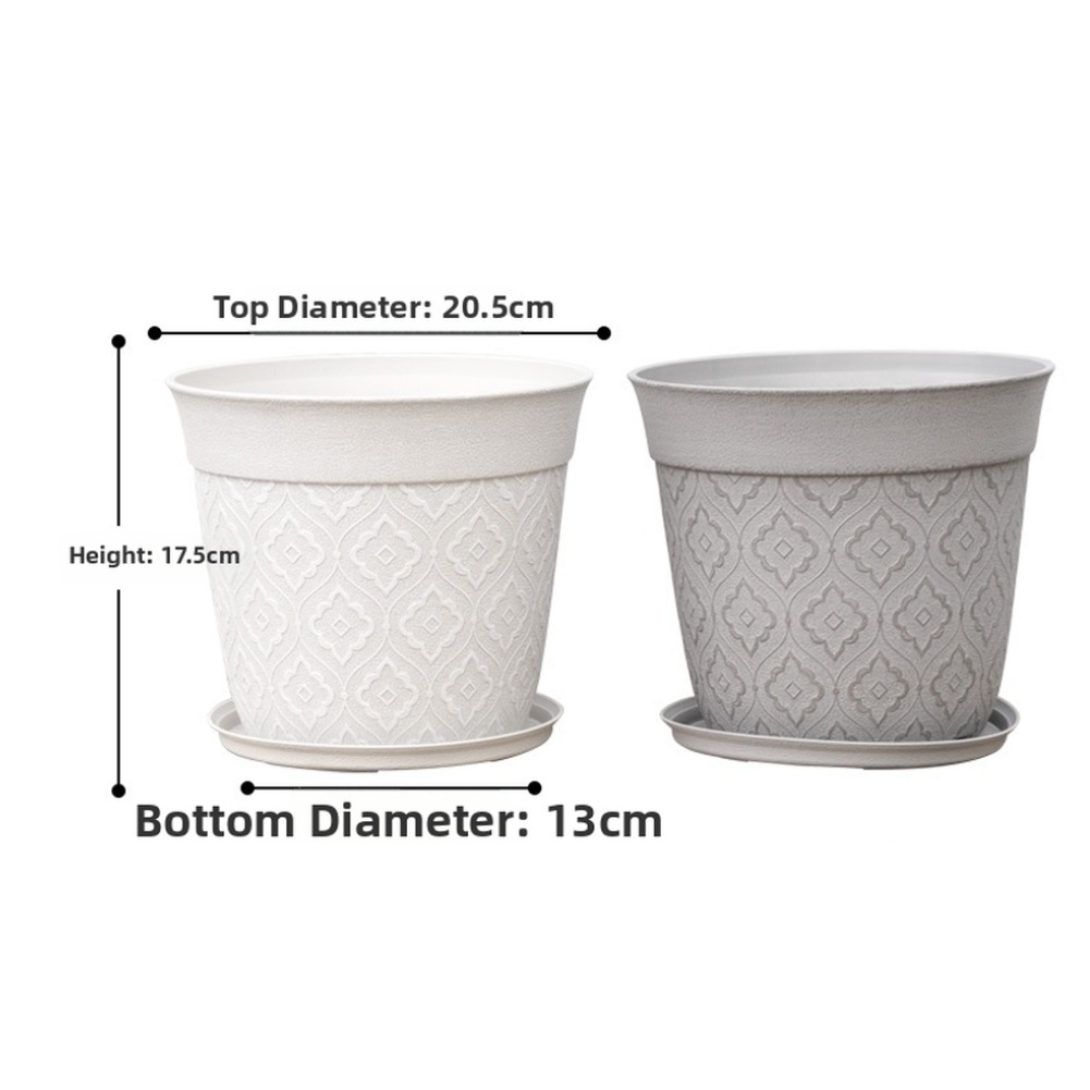 8in Flower Pot With Drainage H - Echeveria Succulent のレビューと価格