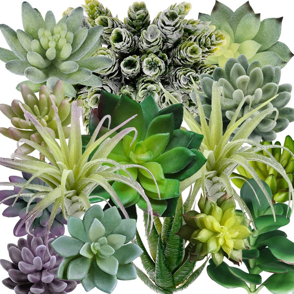 15 Pack Assorted Artificial Su - Echeveria Succulent のレビューと価格