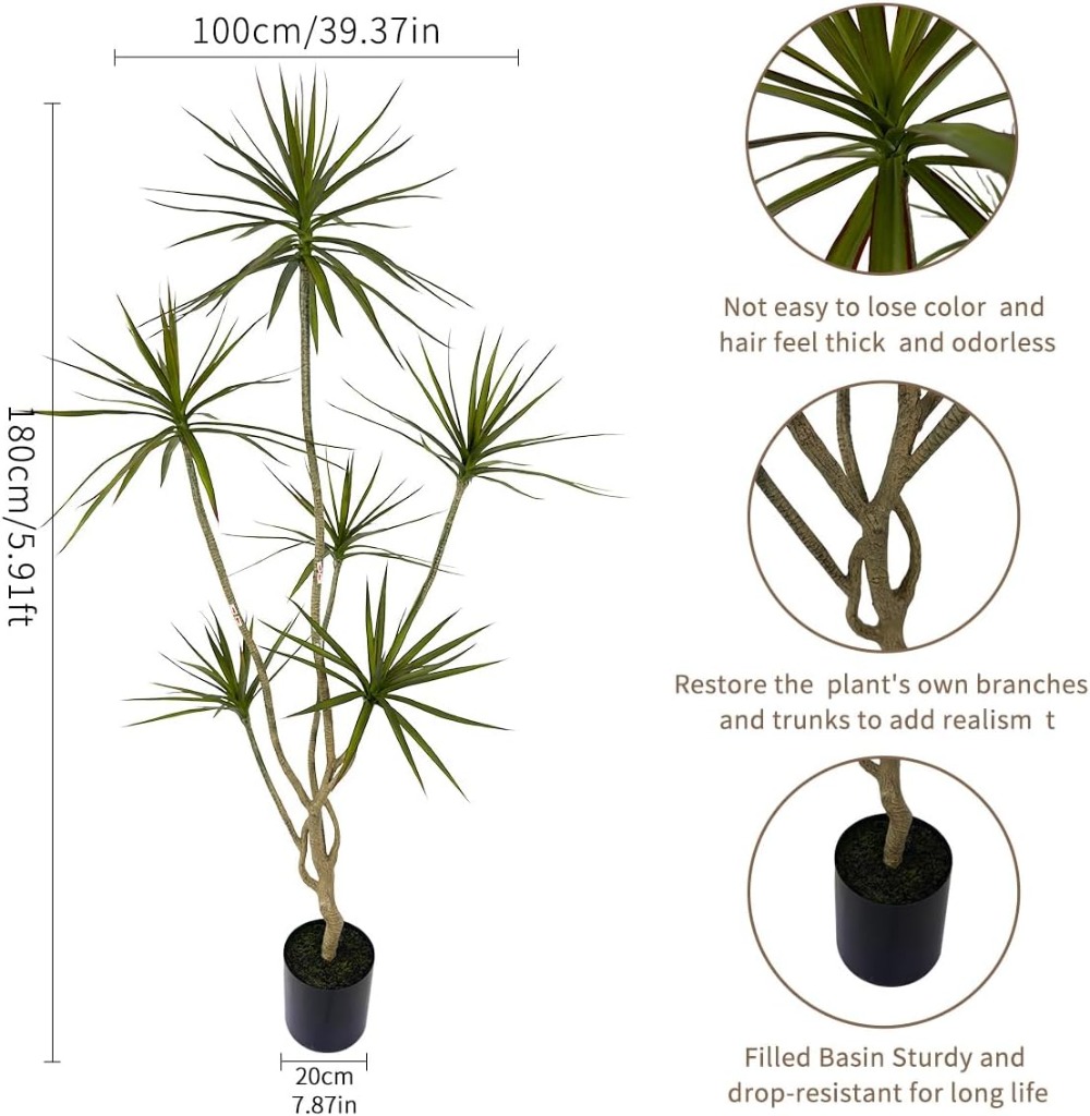 6ft Tall Artificial Dracaena M - Dracaena Marginata のレビューと価格