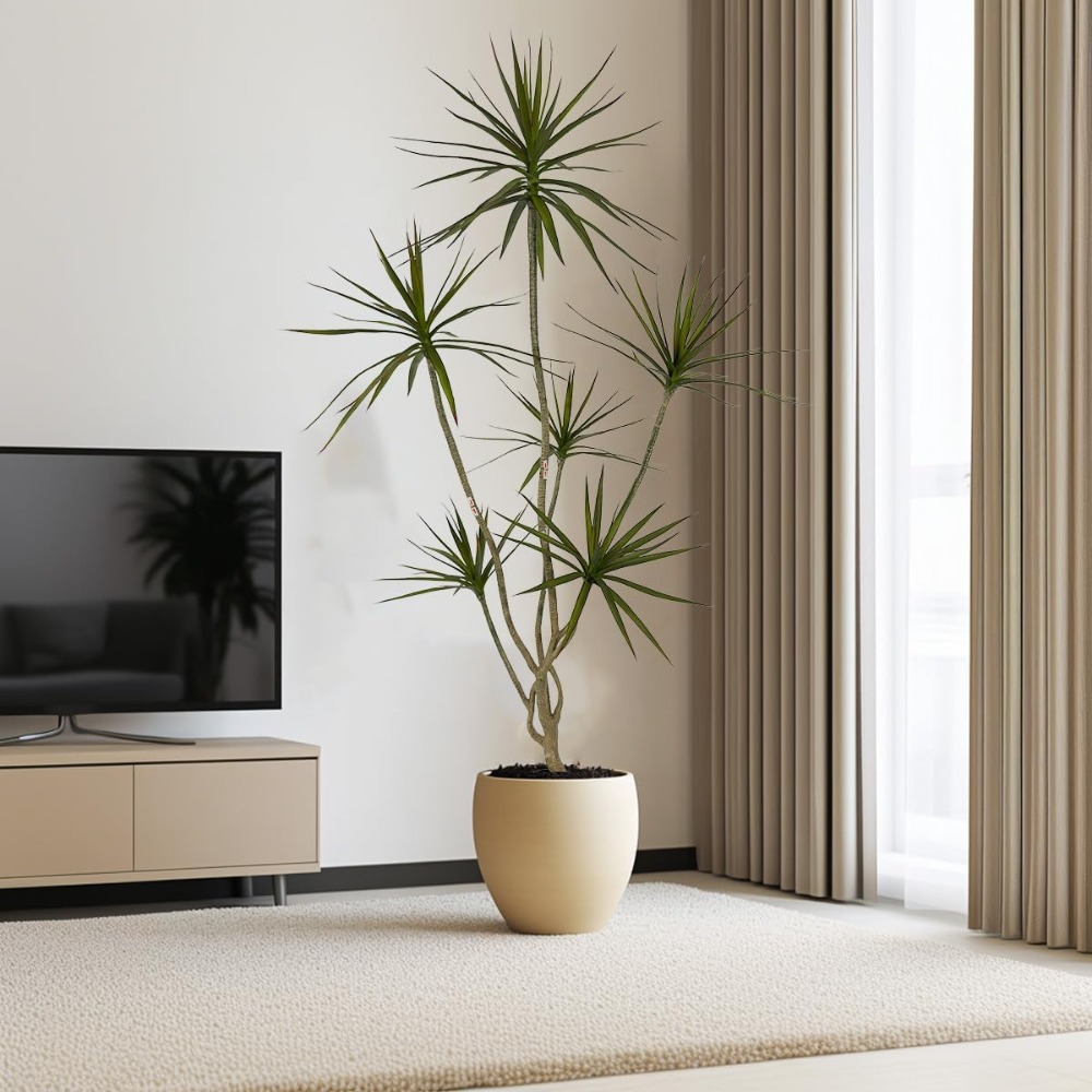 6ft Tall Artificial Dracaena M - Dracaena Marginata のレビューと価格