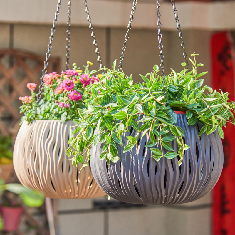 Hanging pot, plastic personali - Spider Plant Hanging のレビューと価格