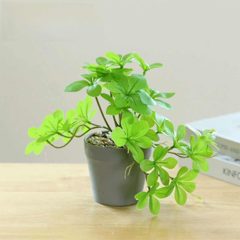 Bonsai Artificial Bonsai Plant - Spider Plant Hanging のレビューと価格