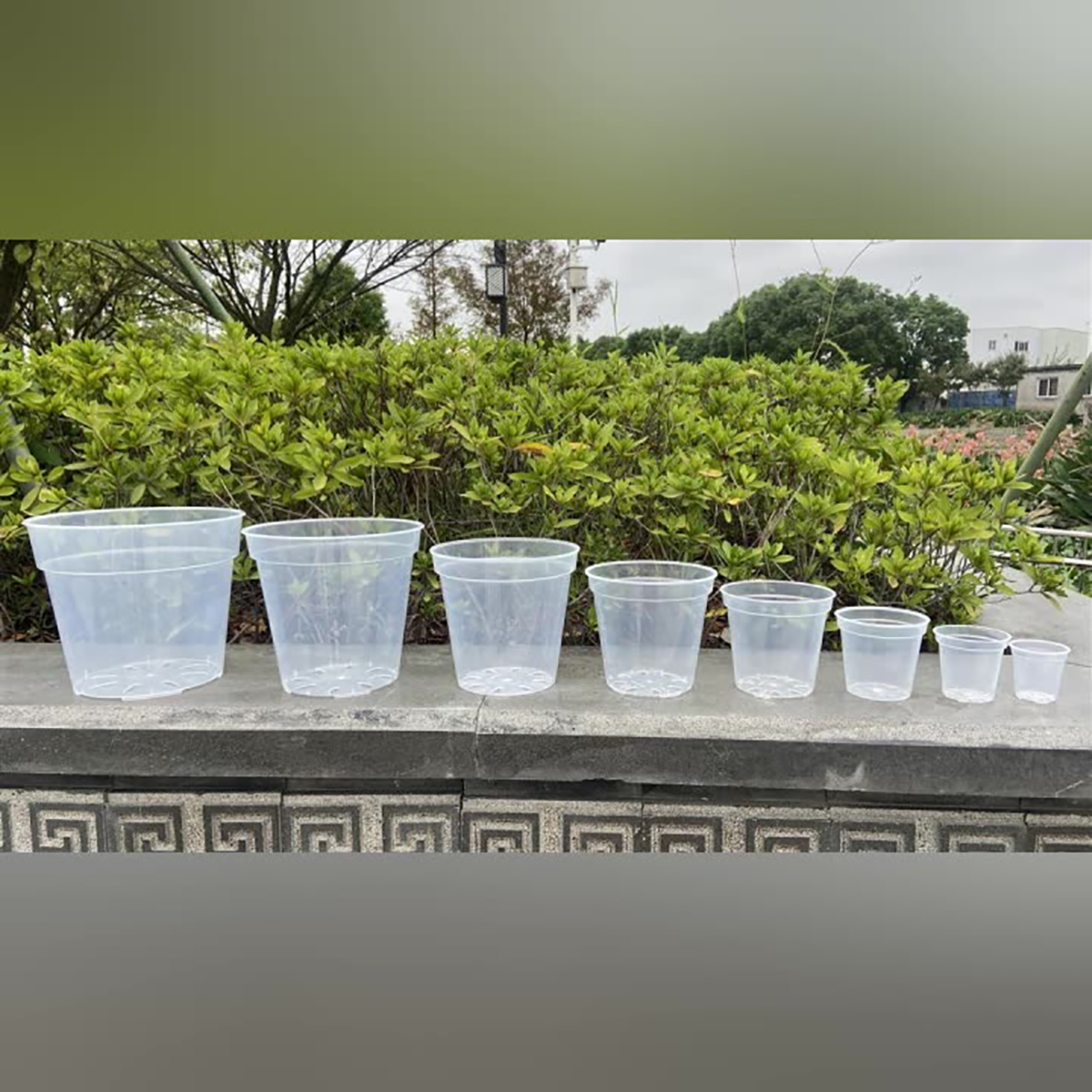 5Pcs 6/7.6/10/13/15cm Clear Ro - Aloe Vera Pot のレビューと価格