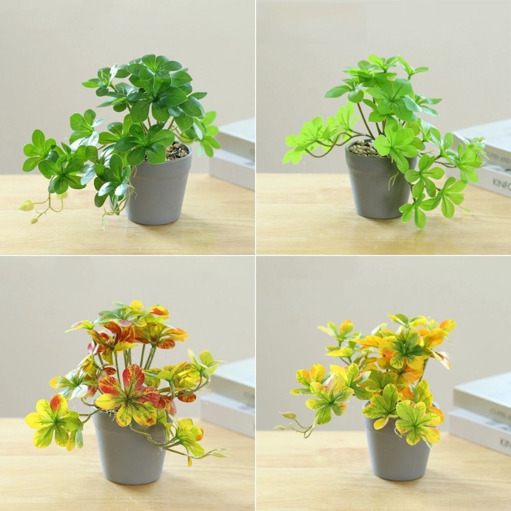 Bonsai Artificial Bonsai Plant - Spider Plant Hanging のレビューと価格