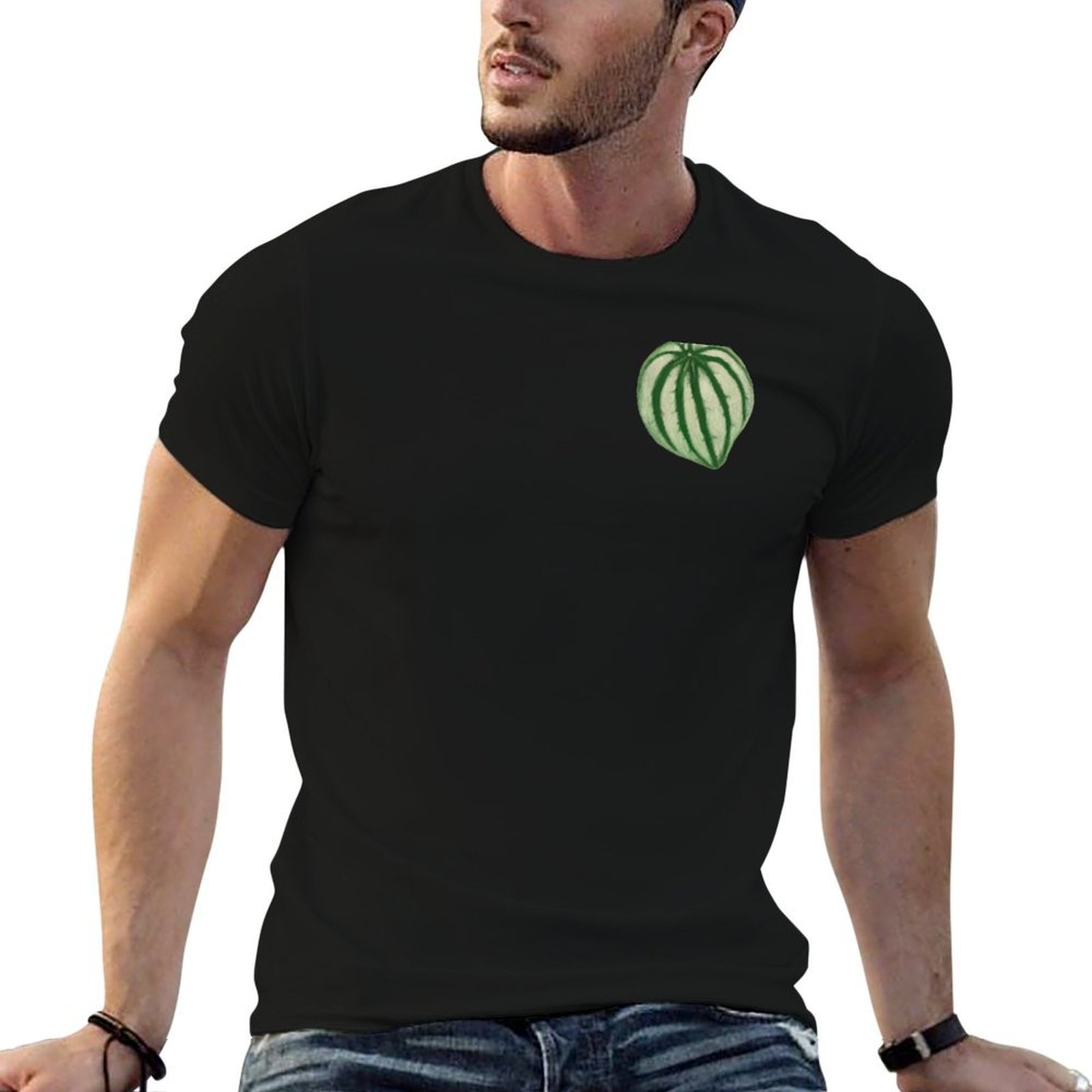 Watermelon Peperomia T-Shirt D - Peperomia Watermelon のレビューと価格
