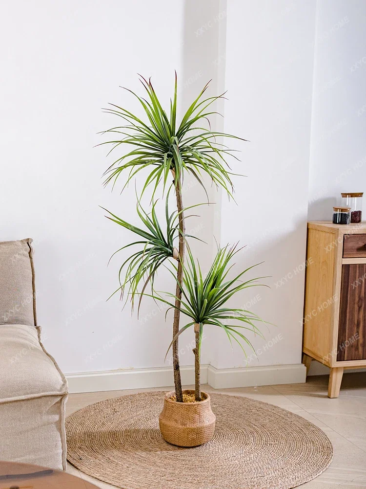 Light Luxury Simulation Green  - Dracaena Marginata のレビューと価格