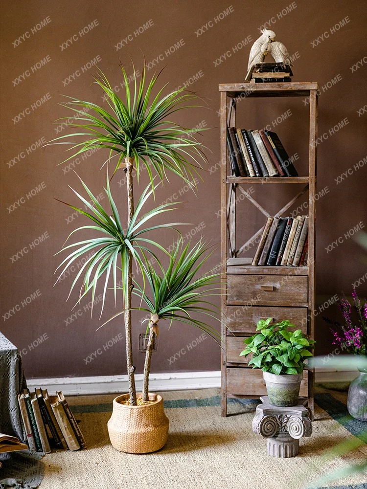 Light Luxury Simulation Green  - Dracaena Marginata のレビューと価格