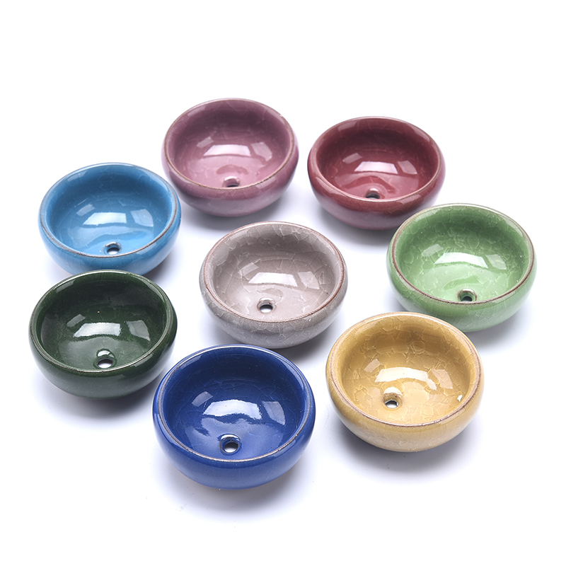 Cute Ice-Crack Glaze Flower Ce - Echeveria Succulent のレビューと価格