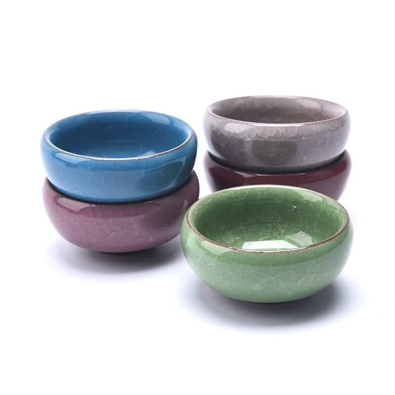 Cute Ice-Crack Glaze Flower Ce - Echeveria Succulent のレビューと価格