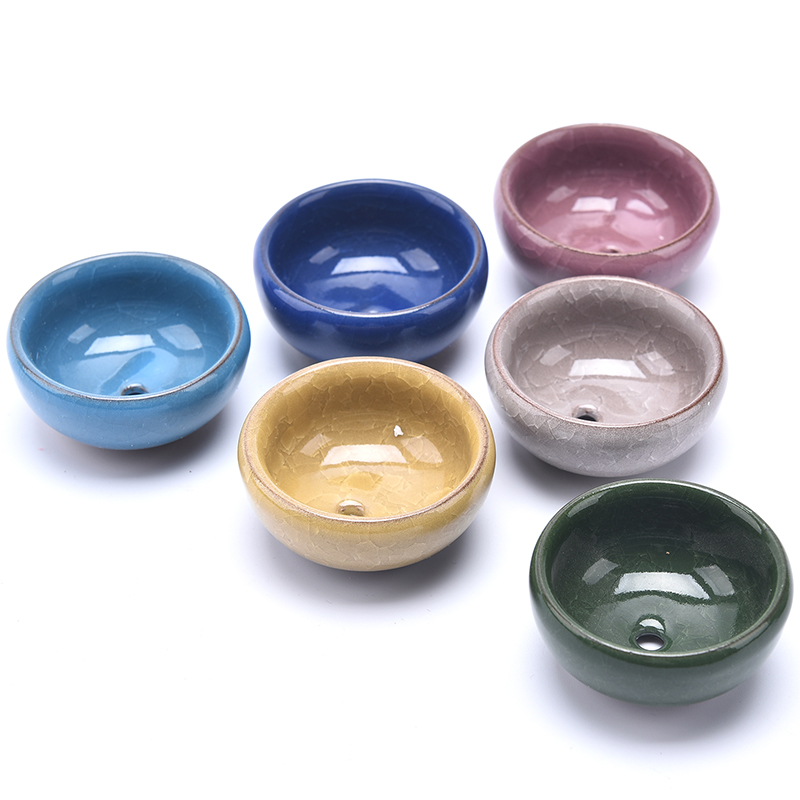 Cute Ice-Crack Glaze Flower Ce - Echeveria Succulent のレビューと価格