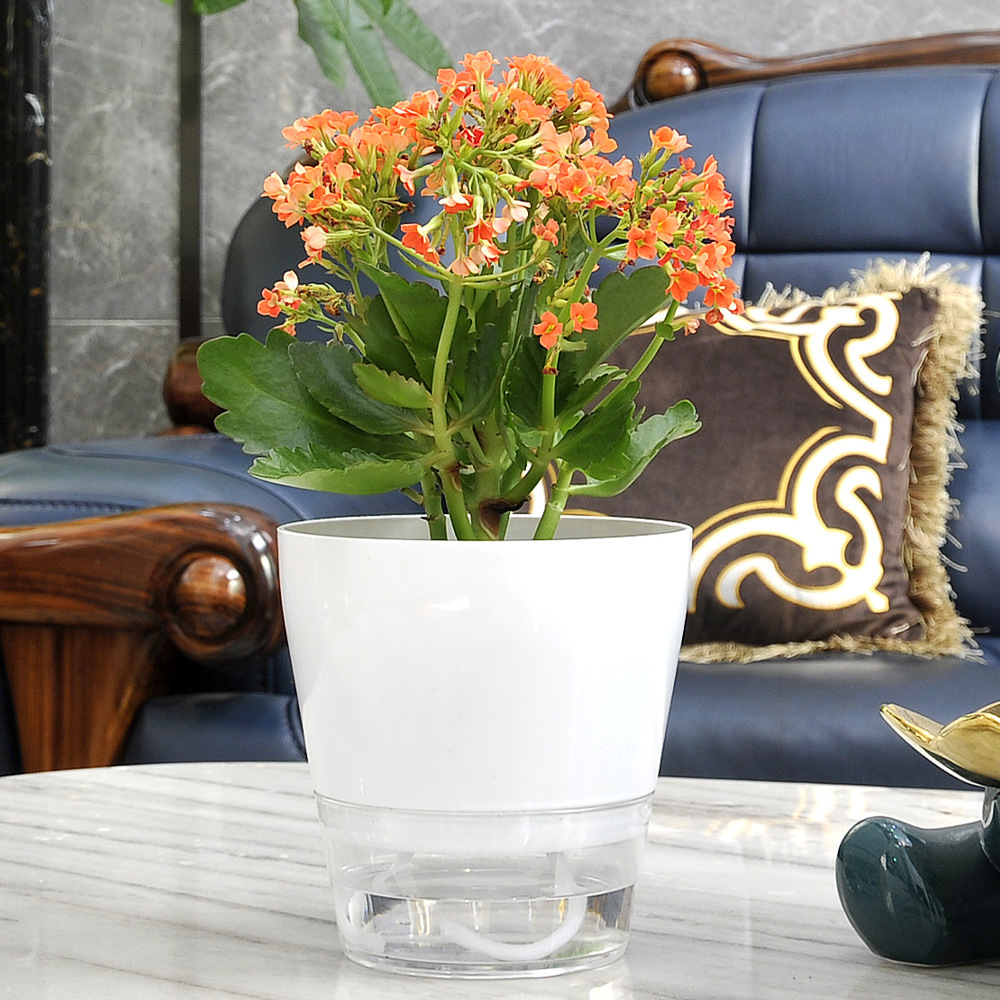 Lazy Flower with Drainage Hole - Aloe Vera Pot のレビューと価格
