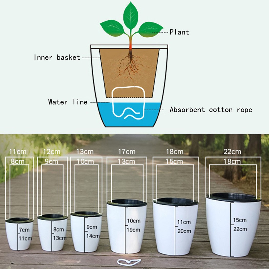 Automatic Watering Flower Plan - Aloe Vera Pot のレビューと価格