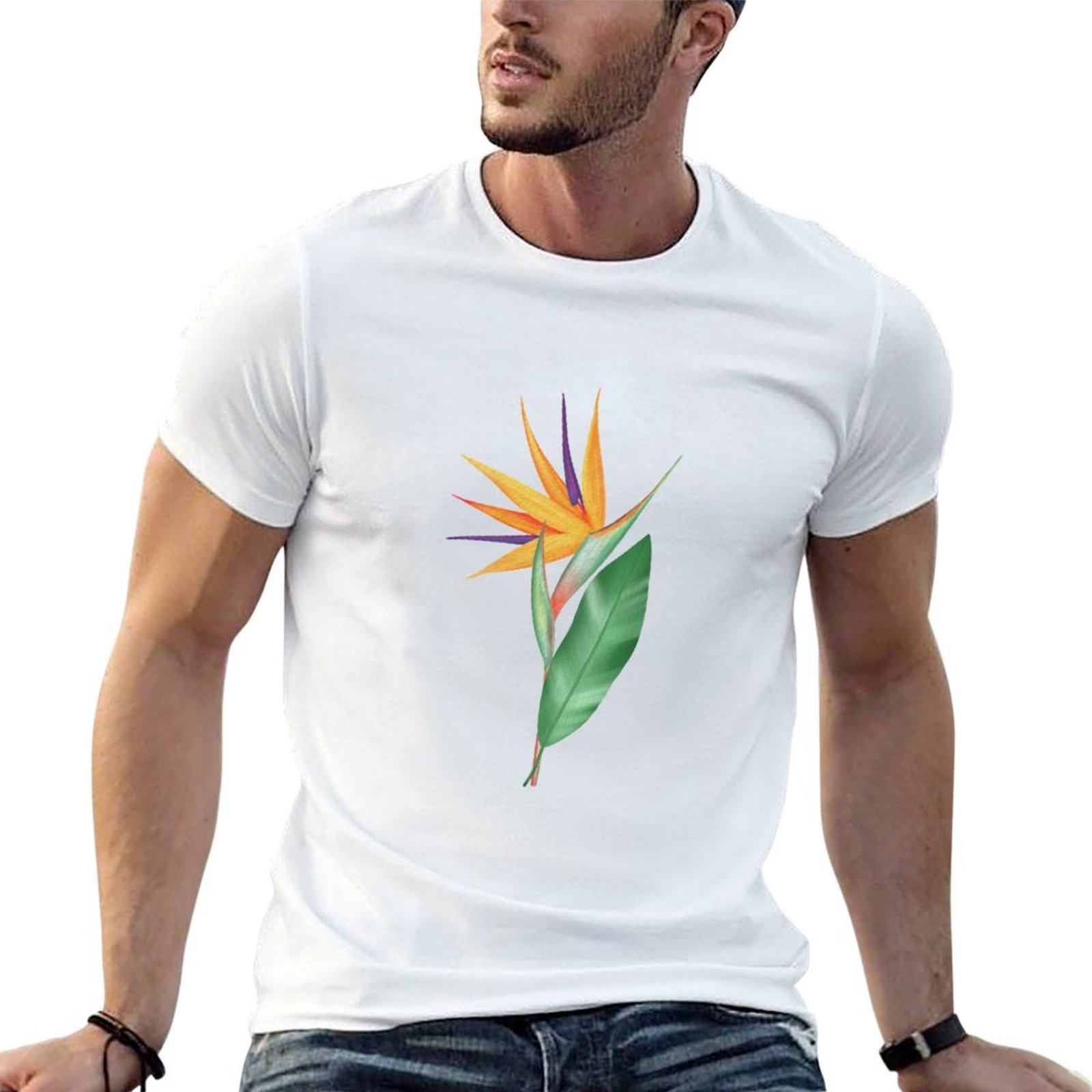 Watercolor bird of paradise fl - Bird Paradise Strelitzia のレビューと価格