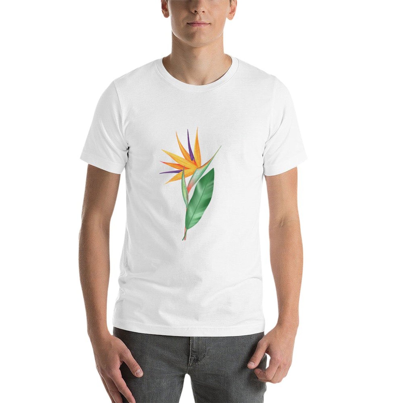 Watercolor bird of paradise fl - Bird Paradise Strelitzia のレビューと価格