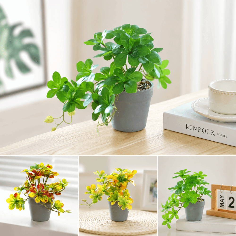Bonsai Artificial Bonsai Plant - Spider Plant Hanging のレビューと価格
