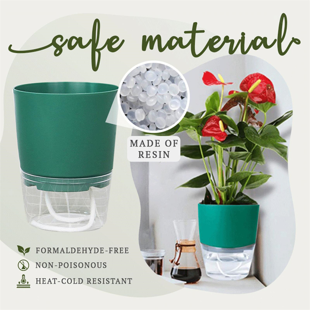Lazy Hydroponic Flower Pot Aut - Aloe Vera Pot のレビューと価格