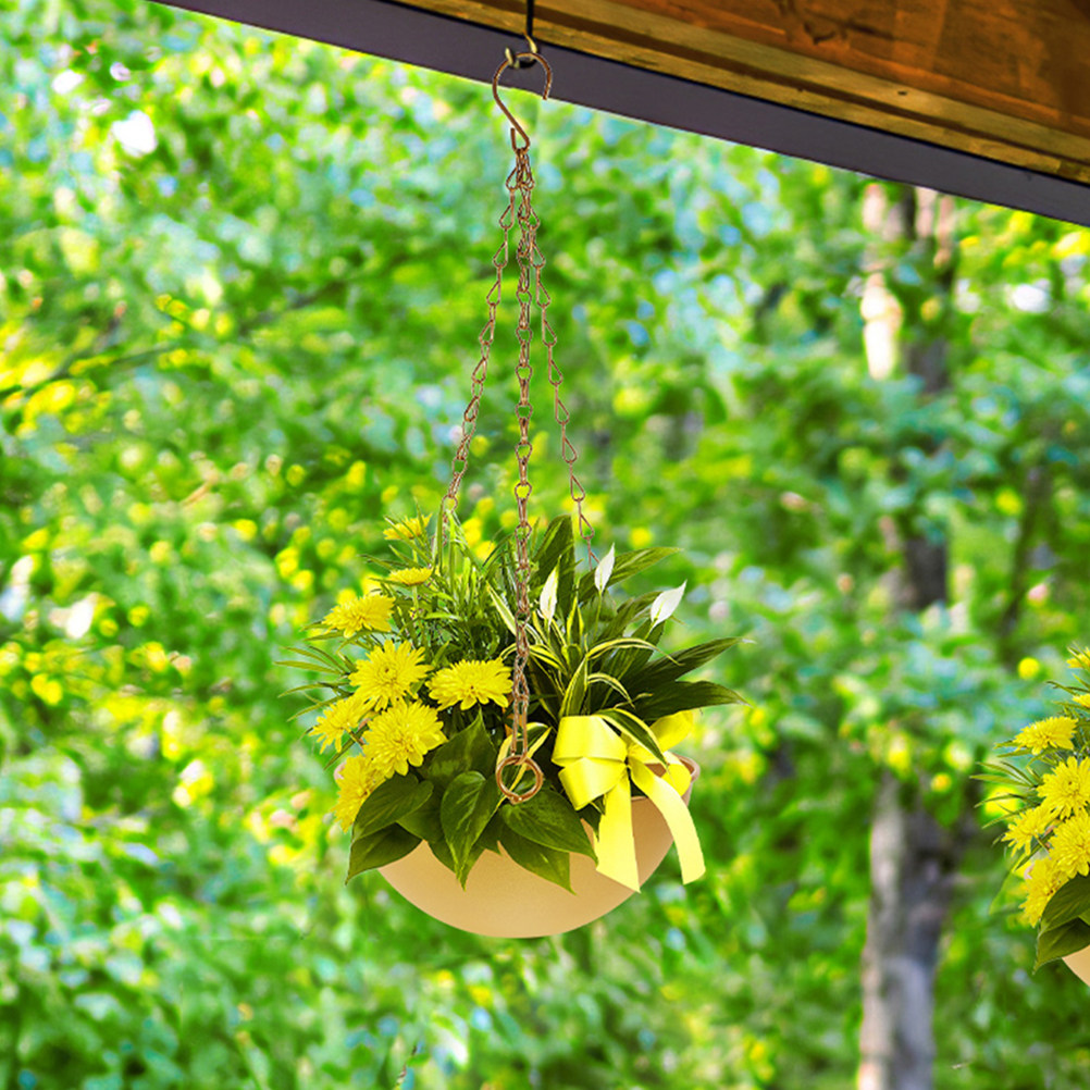 2Pcs Iron Hanging Flower Pots  - Spider Plant Hanging のレビューと価格
