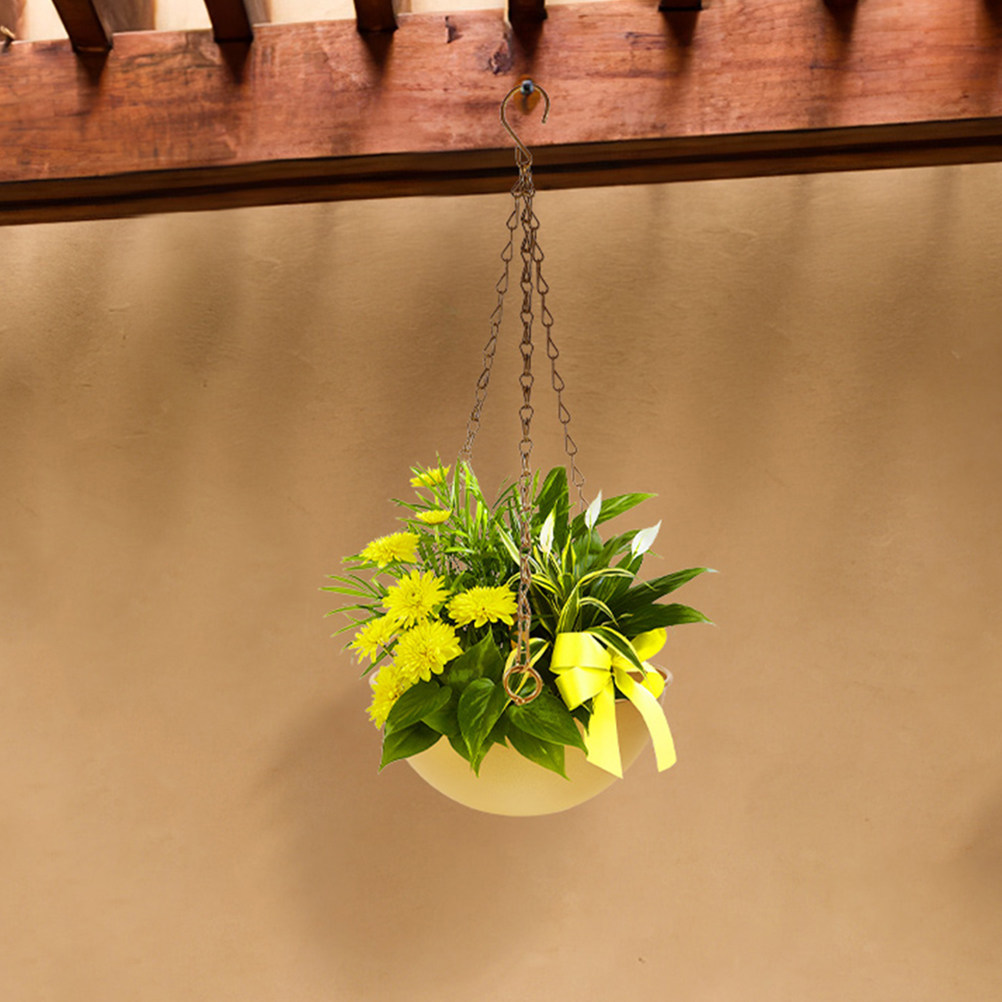 2Pcs Iron Hanging Flower Pots  - Spider Plant Hanging のレビューと価格