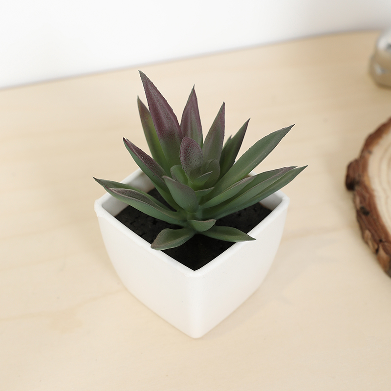 Mini Artificial Succulent Fair - Echeveria Succulent のレビューと価格