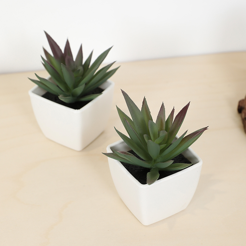 Mini Artificial Succulent Fair - Echeveria Succulent のレビューと価格