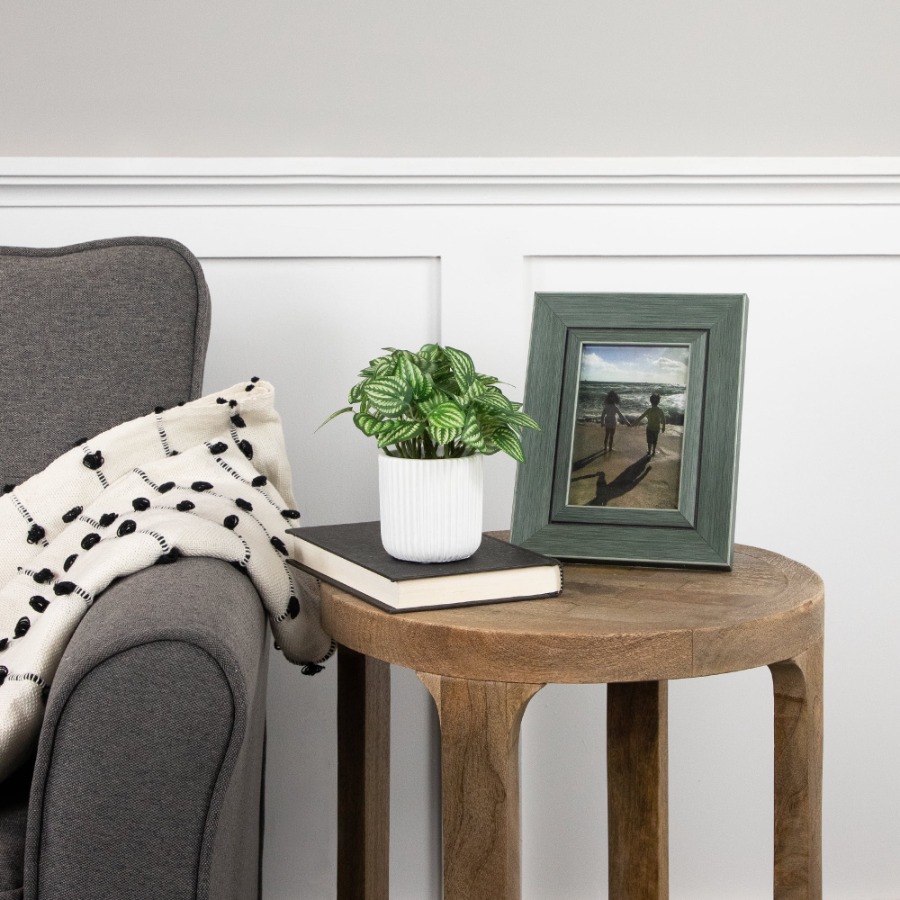 Artificial Watermelon Peperomi - Peperomia Watermelon のレビューと価格