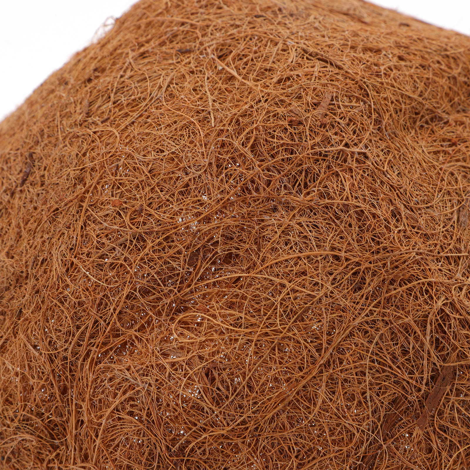 4Pcs Coir Liner for Hanging Ba - Spider Plant Hanging のレビューと価格
