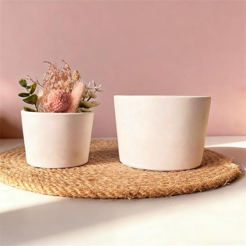 Round Plaster Vase Flowerpot C - Echeveria Succulent のレビューと価格