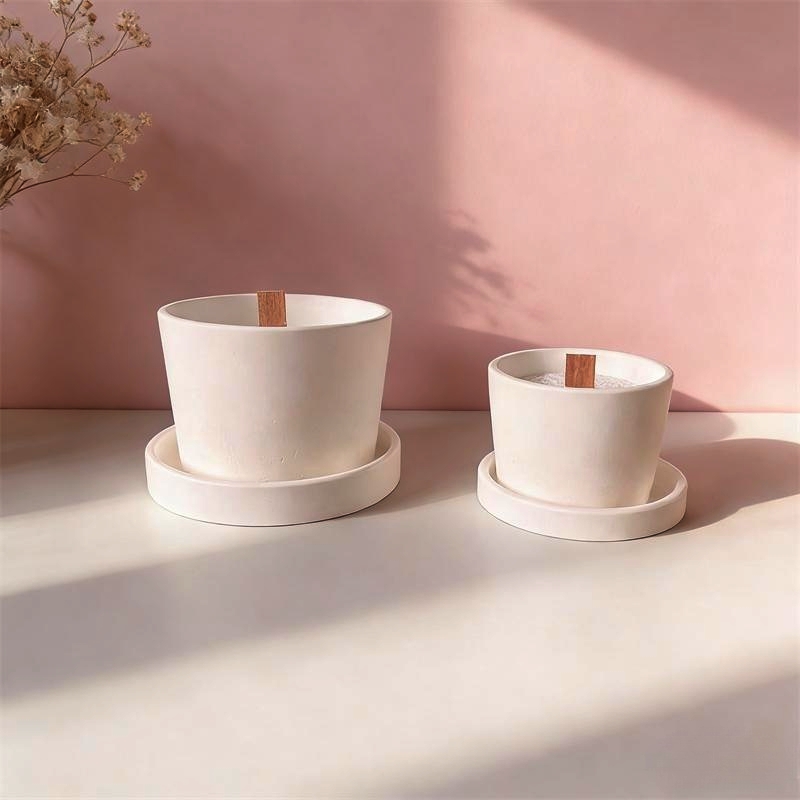 Round Plaster Vase Flowerpot C - Echeveria Succulent のレビューと価格