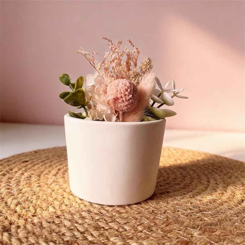 Round Plaster Vase Flowerpot C - Echeveria Succulent のレビューと価格